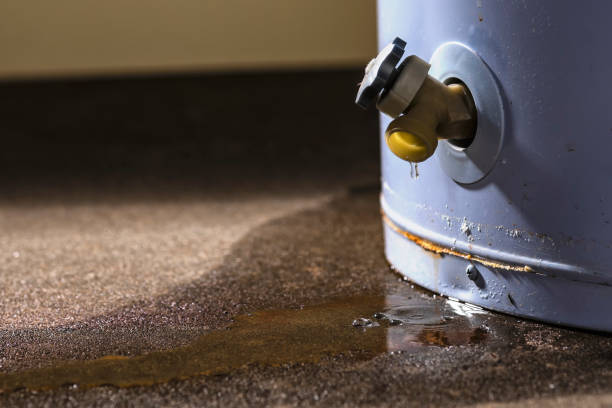 Best Commercial water damage restoration  in Dickson City, PA