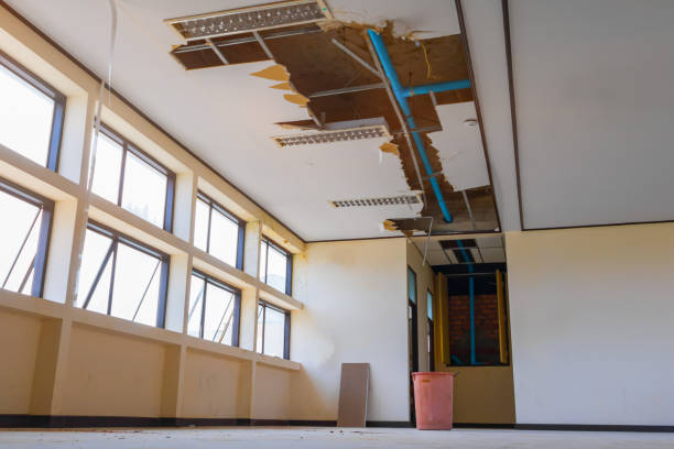 Best Flood restoration services  in Dickson City, PA