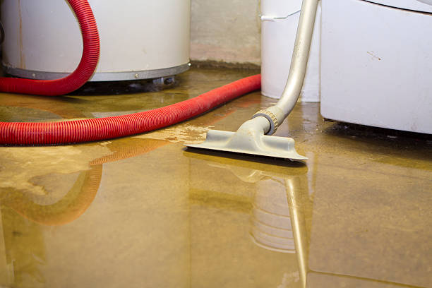 Best Basement water damage restoration  in Dickson City, PA