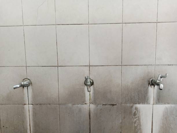 Dickson City, PA Water damage restoration Pros
