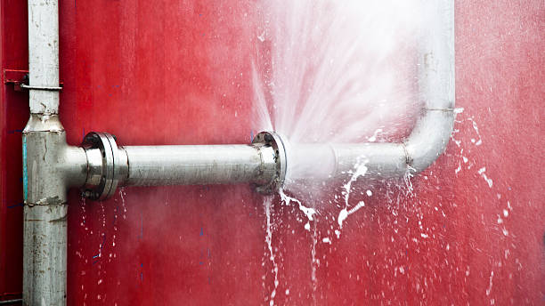 Best Water damage cleanup near me  in Dickson City, PA
