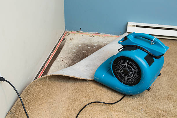 Best Fire Damage Restoration  in Dickson City, PA