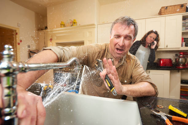 Best Water damage restoration mold remediation  in Dickson City, PA